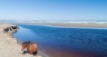 /album/cuarto-r-chiloe/d-094-cucao-shutt-358489022-jpg/